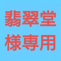 ★(翡翠堂様専用！)おまとめ購入2点！