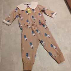 モイモルン　セットアップ