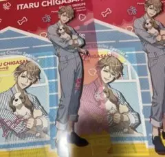 A3! 一番くじ わんわんといっしょ C賞 クリアファイル 茅ヶ崎至