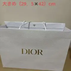 ディオール Dior ショッパー 特大とショッパー小 2点セット