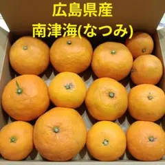 沖縄県産 規格外品 フレッシュナツメ① - メルカリ