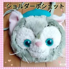 【限定値下げ】ディズニーシー　ジェラトーニ　ショルダーポシェット　パスケース