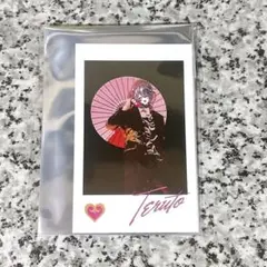 KnightX てるとくん フォトカード 騎士X フォトカ てると