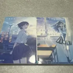 一瞬を生きる君を、僕は永遠に忘れない。 あの夏、夢の終わりで恋をした。