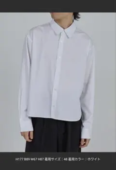 短丈 クロップド シャツ 長袖 ホワイト y2k