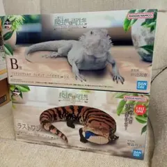 Item thumbnail for item 4ab4f036-fadd-4ee7-bb8c-57b632531933