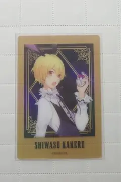 ツキウタ。ぱしゃこれ 師走駆