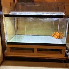 2026年最新】水槽 90 引き取りの人気アイテム - メルカリ