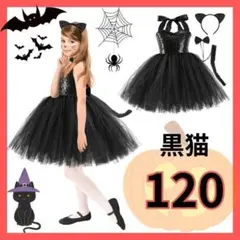 120 新品　黒猫　セットアップ　コスプレ　コスチューム　クリスマス 1145