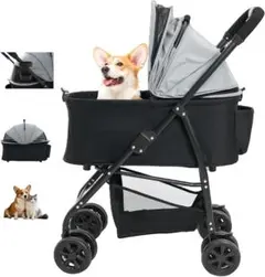 Item thumbnail for item 5e264226-3744-4b9f-b49a-776bc383e927