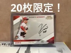 ◽HoNest Sunfish◽様 リクエスト 2点 まとめ商品