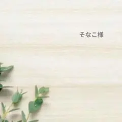 そなこ様　専用ページ♪　オーダー品　ピアス　２点