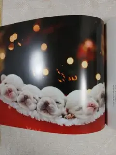 Item thumbnail for item 57070c03-33b7-4560-94ee-05bd5b7182a1