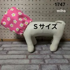 Item thumbnail for item f98df82e-63dc-435c-a98d-8bc7458c4891