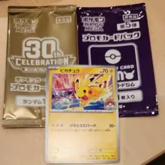 30th ジムプロモ　ジムバトル　プロモ