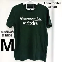 Abercrombie&Fitch ロゴ刺繍半袖Tシャツ M 深緑