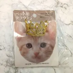 Item thumbnail for item 9f2fdd54-6138-48b0-90e3-ffba813b1b82