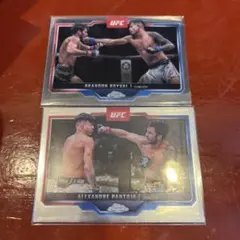 Item thumbnail for item d4096b1f-68f7-4307-adac-1133fd0877a0