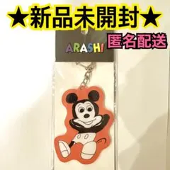 ❤️新品未開封❤️ 嵐を旅する展覧会 ディズニー アクリルキーチェーン 櫻井翔のサムネイル