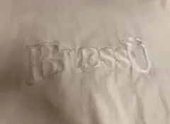 BlessU 刺繍ロゴ ホワイト Tシャツ　L