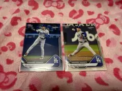 Item thumbnail for item e5b36914-38a5-4f5b-9221-32fd08976b66