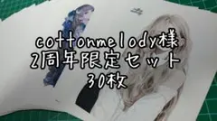 cottonmelody様　2周年限定セット　30枚　人物ステッカー