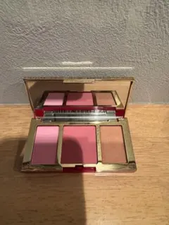 ピュアカラーエンヴィチーク　パレットグロウ