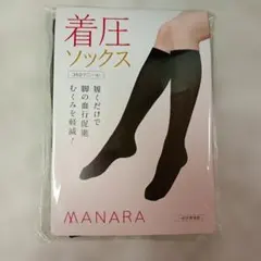 Item thumbnail for item a37999a7-e97a-4838-a8e7-f67c964e293b