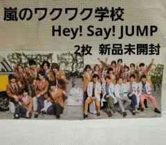 嵐のワクワク学校 2019 ファイル 2枚組 Hey! Say! JUMP