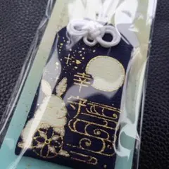 Item thumbnail for item e3f4aad8-f9e2-4a14-bbab-9c41e6f96319