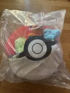 1番くじ　ポケモン　2025 ポケモンコレクション　A賞　ぬいぐるみ