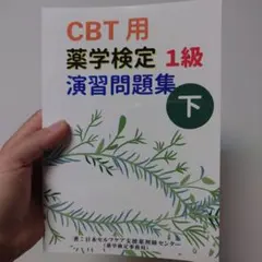 2025年最新】cbtの人気アイテム - メルカリ