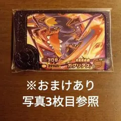 ポケモンフレンダベストタッグ3弾スーパートレジャーピック　ガブリアス