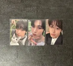 NCTwish color リク トレカ 特典