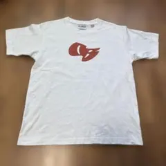 SOLESWAG T-SHRTS 8.1oz US Cotton