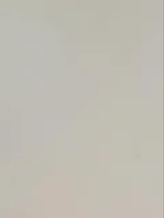 アリさん様専用