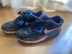 Nike Air Max 90 25cm