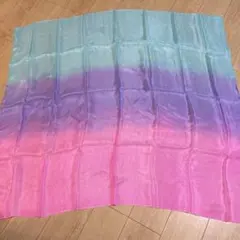 Item thumbnail for item c210e765-5c31-485b-b075-ff8fe90b9e3e