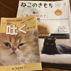 Item thumbnail for item 9136a1a5-e482-4d70-bb24-de11690bf713