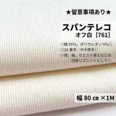 ［761］スパンテレコ リブニット生地（オフホワイト）★留意事項あり★1M