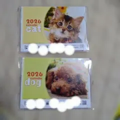 Item thumbnail for item 72674628-a507-4a55-a8b5-b2cf059a5ffd