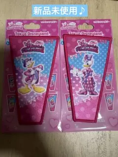 ミニーのファンダーランド パルパルーザ ドナルド デイジー ワッペンアクセサリー