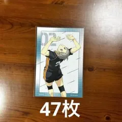 ハイキュー ウィンターフェア 特典 菅原孝支