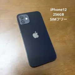 iPhone 12 256GB SIMフリー ブラック 充電ケーブル付き