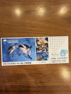 すみすみ様 リクエスト 2点 まとめ商品