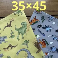 ★ハンドメイド★ランチョンマット2枚セット　35×45 男の子 恐竜★602