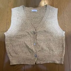 LOWRYS FARM /ニットベスト / freeサイズ /秋服