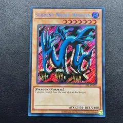 遊戯王カード 遊戯王OCG デュエルモンスターズ(外国語版)