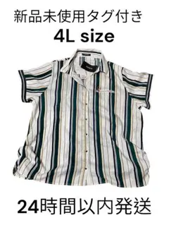 新品未使用タグ付き　4Lサイズ 大きいサイズ　レディース　ゆったり　シャツ