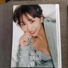 Item thumbnail for item 218f3e8d-bf54-4f60-a38d-09a02786b5fa